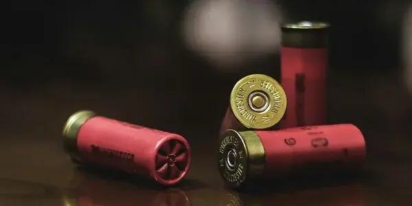 For a unique outdoor activity in Hastings, why not explore Clay Target Shooting at the Hawkes Bay Clay Target Club? This event, part of the games category, offers a thrilling experience for anyone interested in trying something different