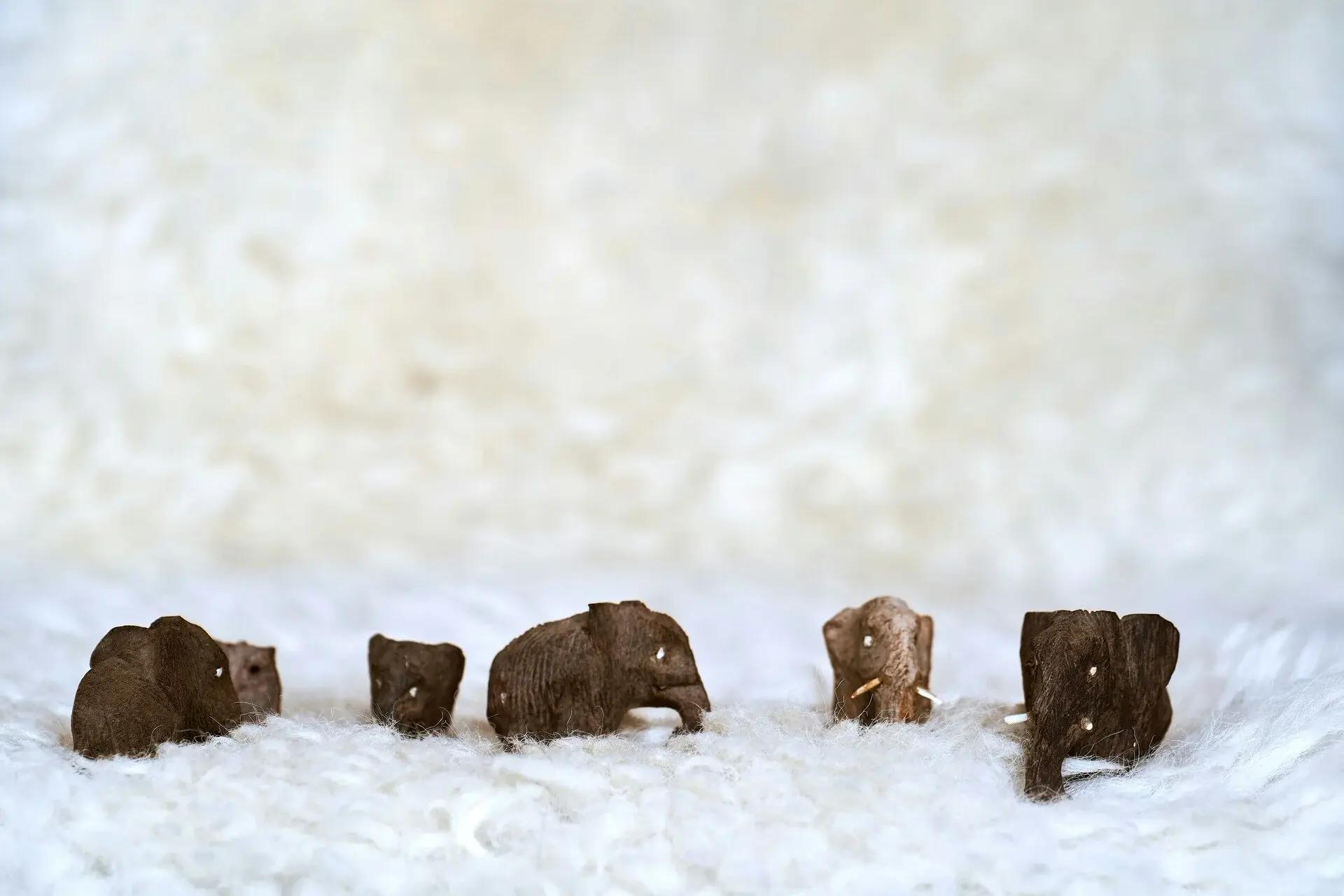 Minatures club activity 5