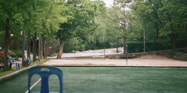 Fancy a go at something sporty yet laid-back in Nelson? Head over to the Nelson Hinemoa Club at the Trafalgar Centre for a chance to try croquet