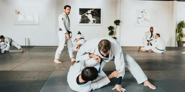 Dynamic Senior Judo Training