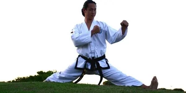 Adults Taekwon-Do Training Pukekohe