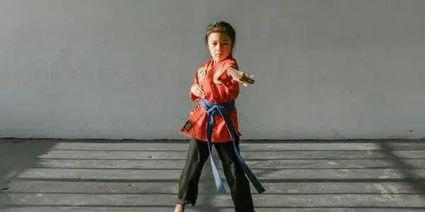 Palmerston North Tiger Taekwon-Do Juniors
