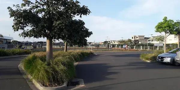 Club Mount Maunganui