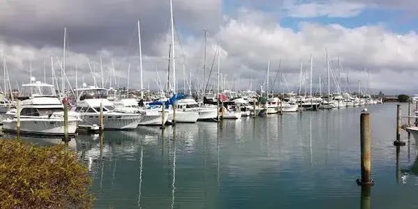 Tauranga Sport Fishing Club (Inc)