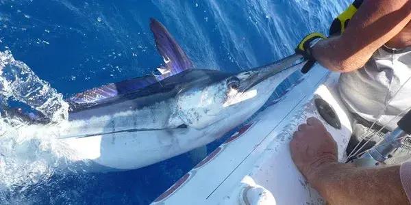 Mangawhai Boating & Fishing Club