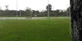 Greerton Marist Rugby Club