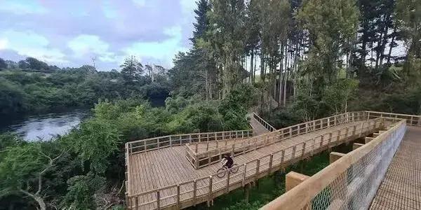 Nestled in Flagstaff, Hamilton, Netherville Retirement Village is a gem among Retirement Villages in Hamilton, offering a secure and welcoming environment for seniors