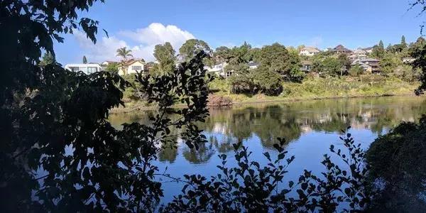 For a peaceful and fulfilling retirement, Alandale Retirement Village in Flagstaff, Hamilton, is a standout among Retirement Villages in Hamilton