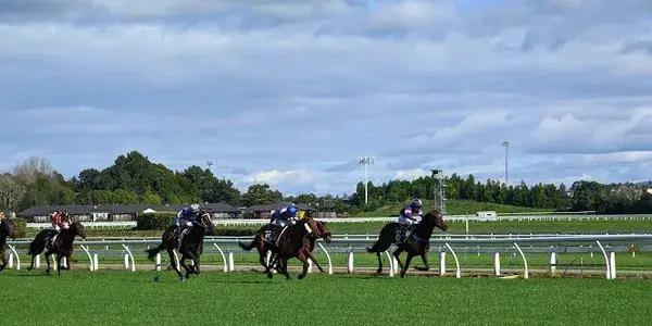 Te Rapa Racecourse