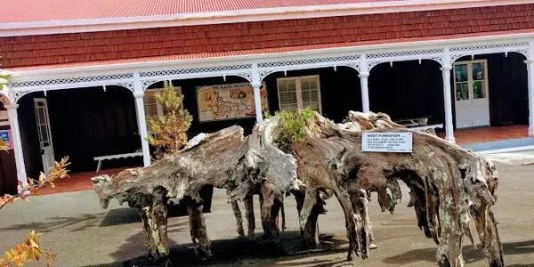 Located in Matakohe, Northland, The Kauri Museum is a standout attraction in the Kaipara district, midway between Auckland and the Bay of Islands