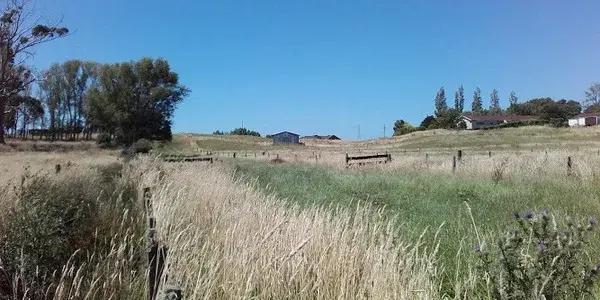 St Peters Tennis Club Inc