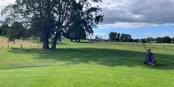 Stewart Alexander Golf Club