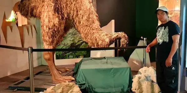 Waitomo Caves Museum