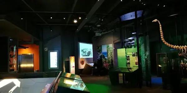 In the heart of New Plymouth Central, Puke Ariki stands as a cultural cornerstone among Museums in Taranaki