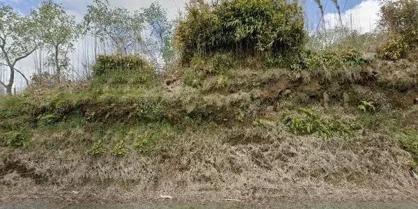 New Plymouth Model Aero Club