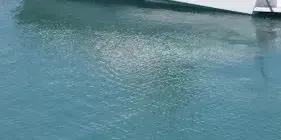 Hawke's Bay Sports Fishing Club Inc