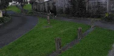 Stanmore Bay Community Hall