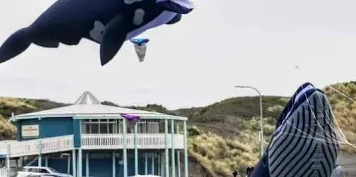 The Duncan Pavilion - beachfront venue for private hire and public events