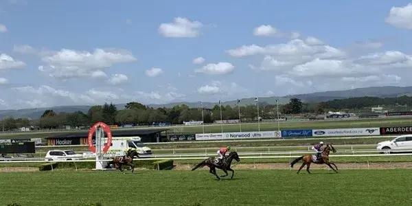 Awapuni Racing Centre