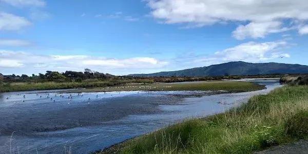 Otaihanga Boating Club