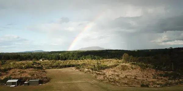 Tauranga Model Aircraft Club