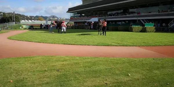 Wellington Racing Club