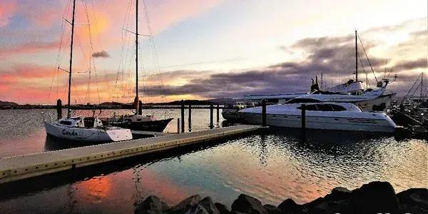 Lowry Bay Yacht Club