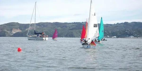 Sailability Wellington Trust at Seaview
