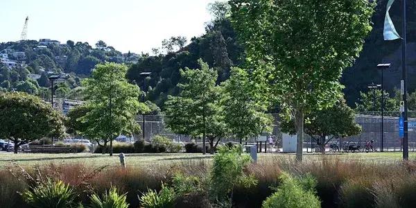 Nelson Squash Racquets Club