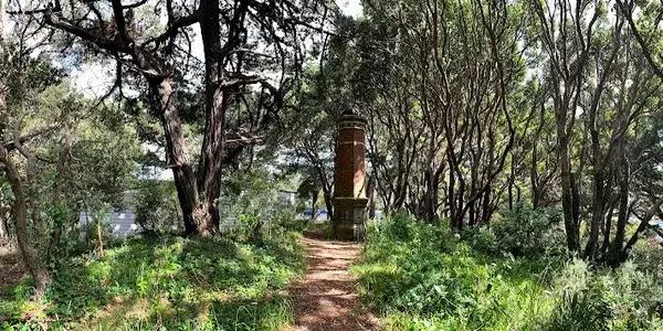 Wellington Harrier Athletic Club