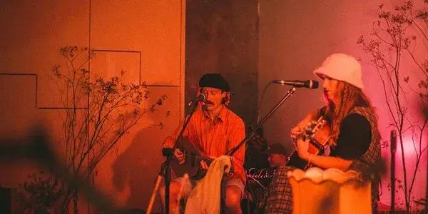 Begin your creative journey at Pluto Projects Artspace, an inspiring art centre in Mayfield, Blenheim, Marlborough