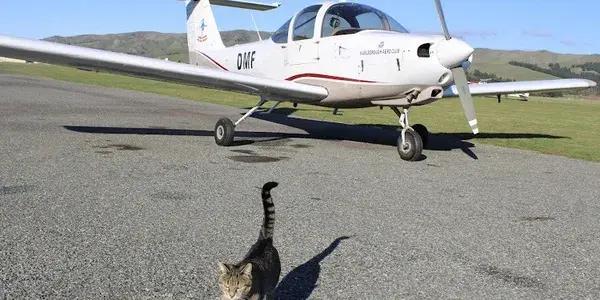 Marlborough Aero Club