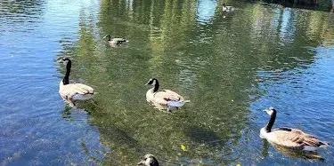 Avon Loop Community Cottage