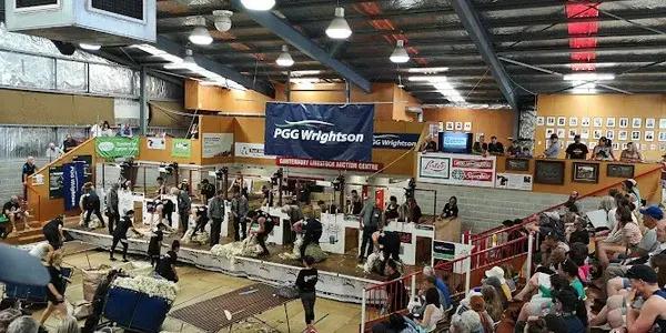 The New Zealand Agricultural Show