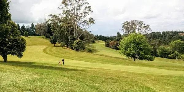 Bay of Islands Golf Club, Kerikeri, NZ