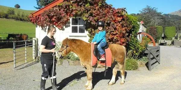 Living Springs Farm Parks