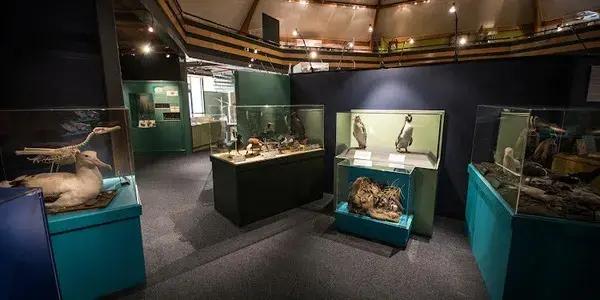 South Canterbury Museum