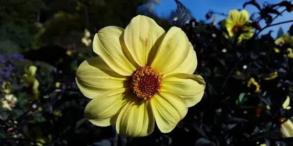 North East Valley Bowling Club