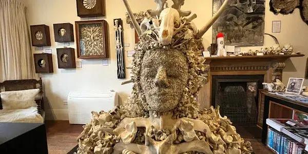 The Dunedin Museum of Natural Mystery