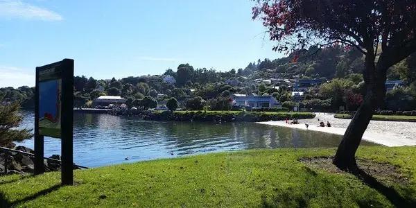 Macandrew Bay Boating Club