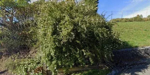 Mornington-Roslyn Lawn Tennis Club