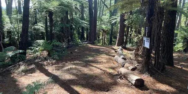 Massey Archery Club Inc.