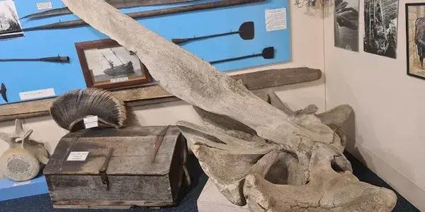 Bluff Maritime Museum