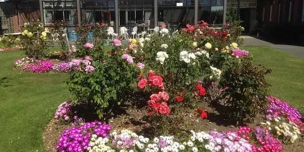 Waikiwi Gardens Rest Home