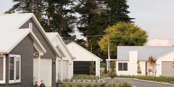 The Vines at Bethlehem