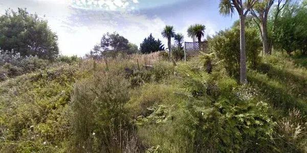 Te Tihi o Moerangi marae