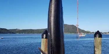 Houhora Big Game & Sports Fishing Club