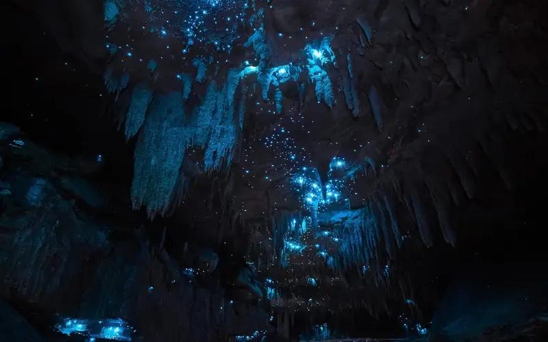 Milky Way Glowworm Cave
