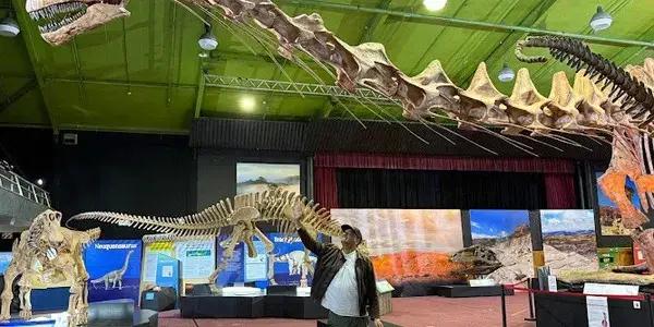 Dinosaurs of Patagonia in Auckland