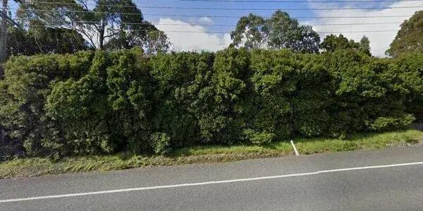 Beachlands Maraetai Pony Club